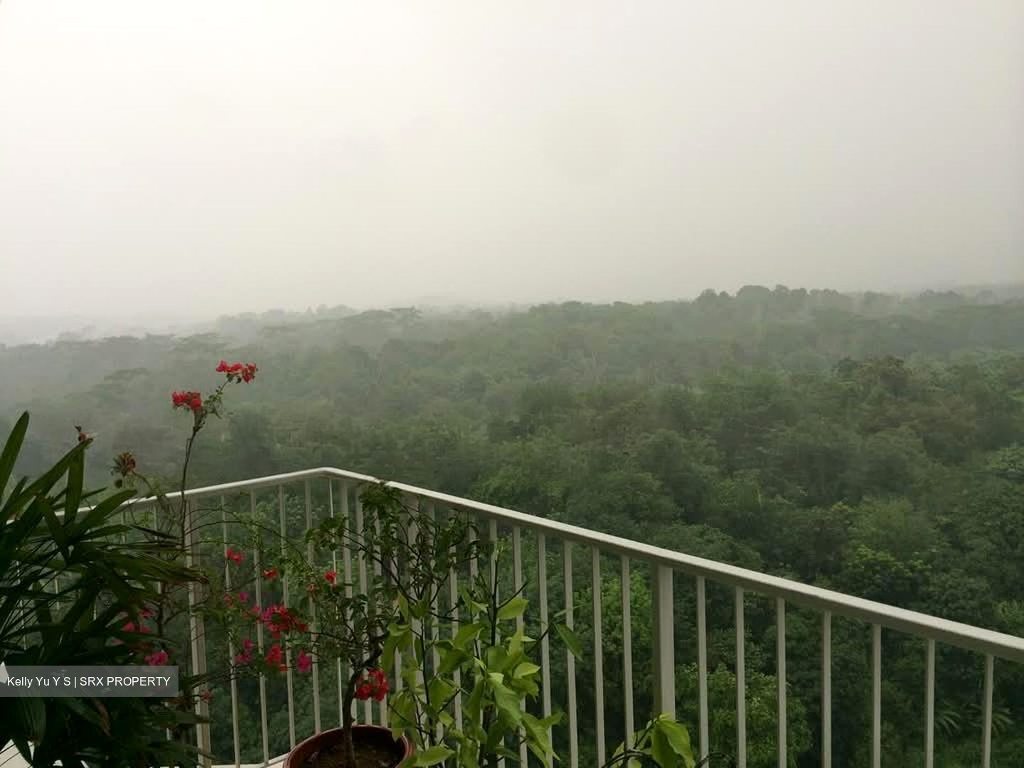 Tree House (D23), Condominium #606887041
